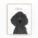 Search for flat art Flat coated retriever