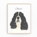 Search for springer spaniel dog posters Black and white