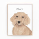 Search for red haired art Dachshund