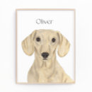 Search for dachshund art Husband