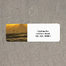 Search for pelican return address labels Nature