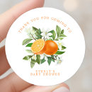 Search for cutie stickers Watercolor