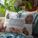 Search for heart shape cushions Dog