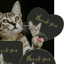 Search for kitten love stickers Adorable