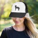 Search for labrador hats Dog