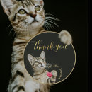 Search for thank you cat stickers Heart