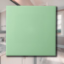 Search for celadon Solid