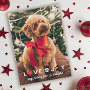Search for love pet cards Dog photo