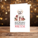 Search for maltese christmas cards Happy pawlidays