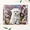 Search for maltese dog puzzles Cute