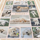 Search for cats pink blankets For pets