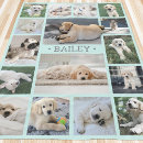 Search for cute cat photo blankets Create your own