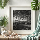 Search for black and white beach posters Digital