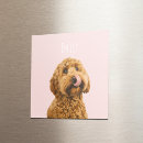 Search for dog magnets Pet photo