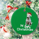 Search for bull terrier christmas tree decorations Dog