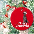 Search for labrador christmas tree decorations Fun