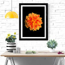 Search for dahlia flower posters Vibrant