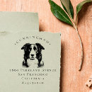 Search for collie cards invites Pet