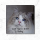 Search for ragdoll cats puzzles Cute