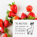 Search for alpaca Cartoon