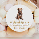 Search for dog wedding stickers Dog of honour