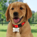 Search for baby dog supplies Dogs
