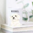 Search for havanese dog mugs Bichon