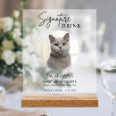Search for cat wedding signs Bar