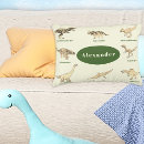 Search for boy pillowcases Modern