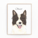 Search for border collies art Black and white