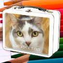 Search for cats lunch boxes Pet
