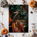 Search for gothic cat postcards Occult