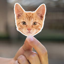 Search for cat print stickers Waterproof