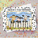 Search for cow puns cards Dairy