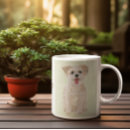 Search for morkie Dogs