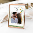 Search for mountain wedding table cards Pine trees