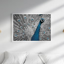 Search for feather photography Animal
