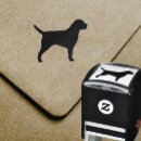 Search for breed cards invites Animals