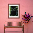 Search for black panther Animals
