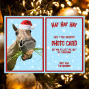Search for flakes christmas cards Horse