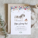 Search for shih tzu birthday invitations Dog