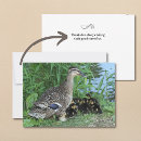 Search for baby ducklings postcards Thank you