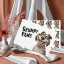 Search for grumpy dog Pet
