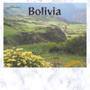 Search for flower bloom postcards Outdoors