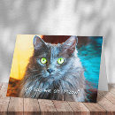 Search for grey cat cards Russian blue