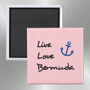 Search for anchor magnets Pink