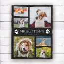 Search for dogs name blankets Modern