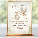 Search for stork delivery baby shower invitations Classic