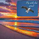 Search for flying birds magnets White