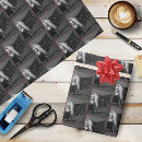 Search for angel wrapping paper Black